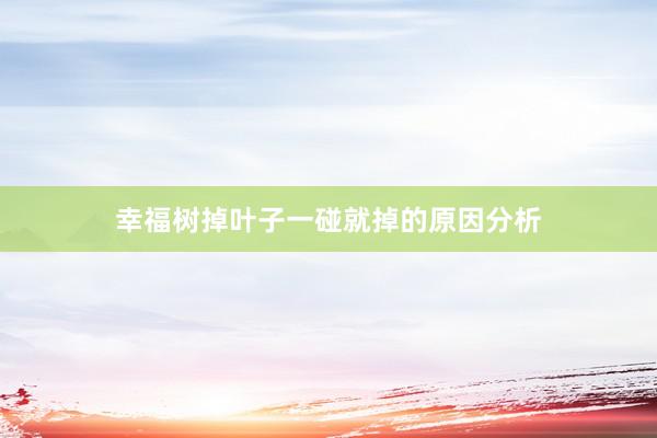 幸福树掉叶子一碰就掉的原因分析