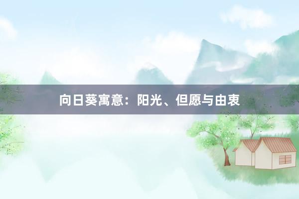 向日葵寓意：阳光、但愿与由衷